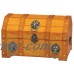 Pirate Treasure Chest with Lion Rings   567454076